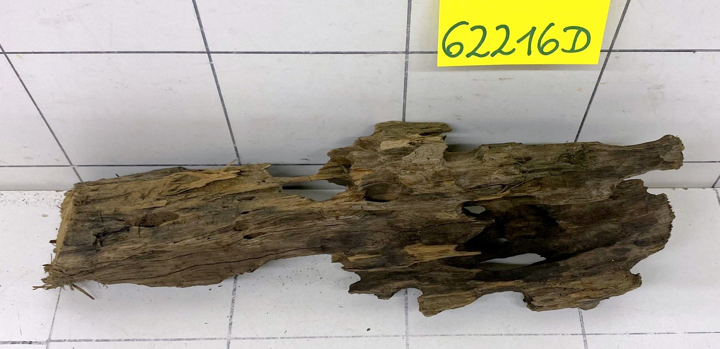 62216D - Drachenholz / Dragonwood