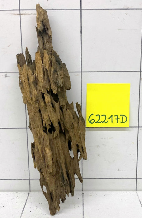62217D - Drachenholz / Dragonwood