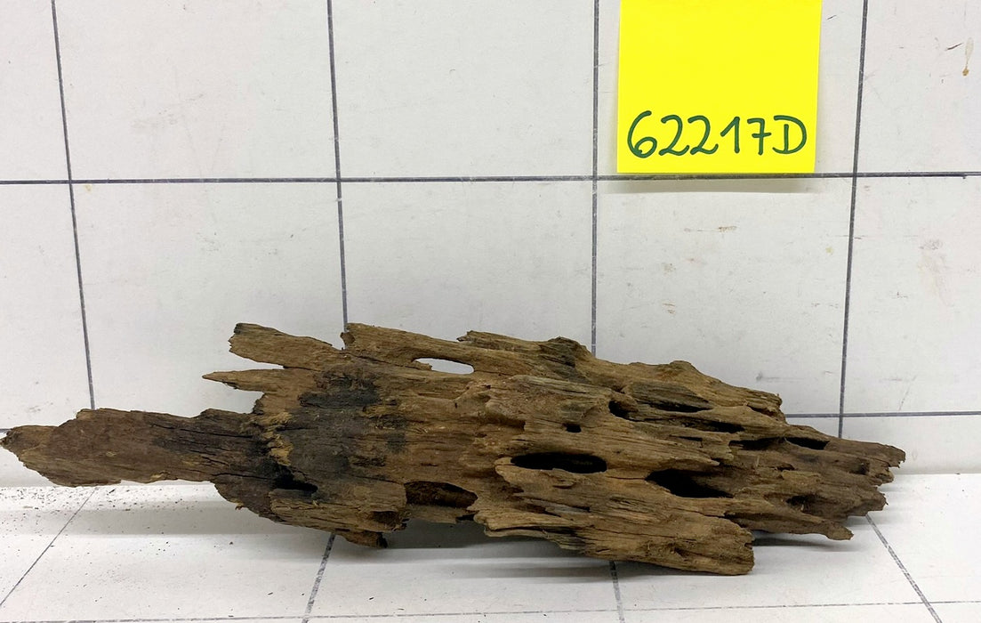 62217D - Drachenholz / Dragonwood