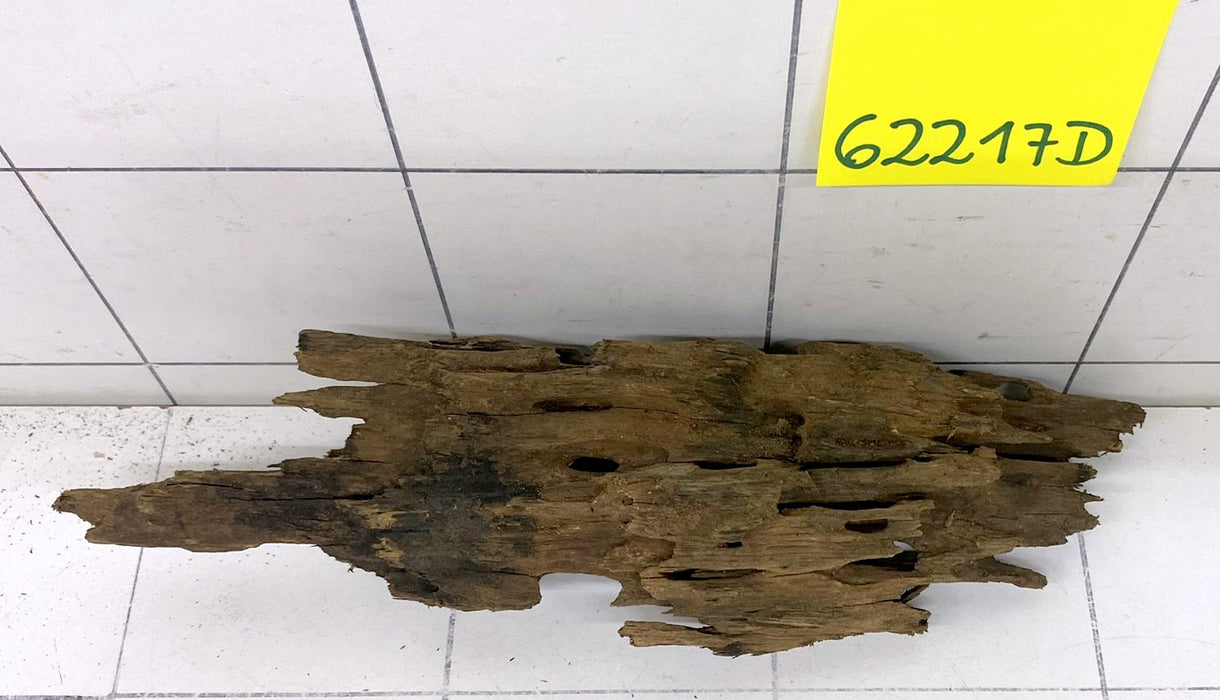 62217D - Drachenholz / Dragonwood