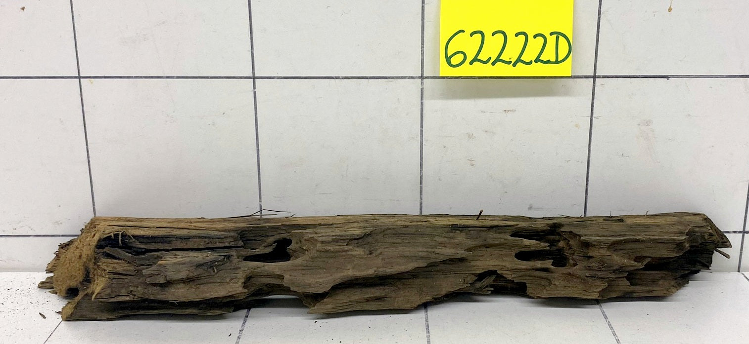 62222D - Drachenholz / Dragonwood