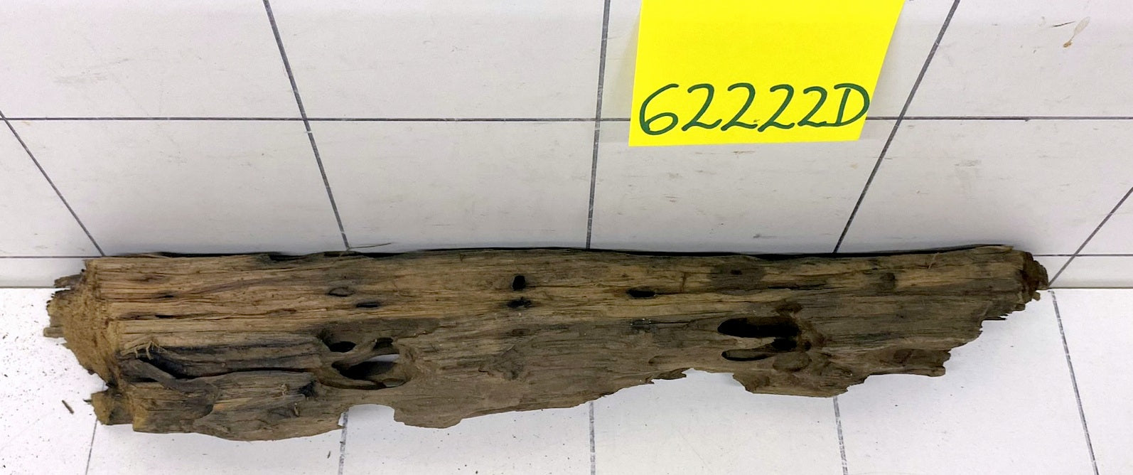 62222D - Drachenholz / Dragonwood