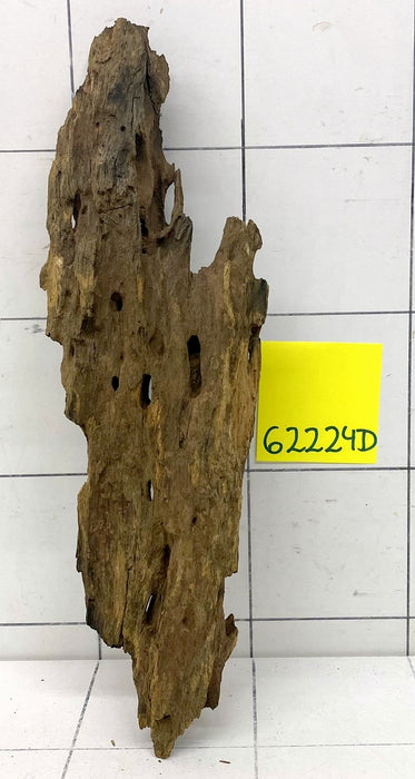 62224D - Drachenholz / Dragonwood