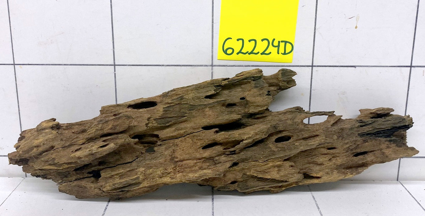 62224D - Drachenholz / Dragonwood