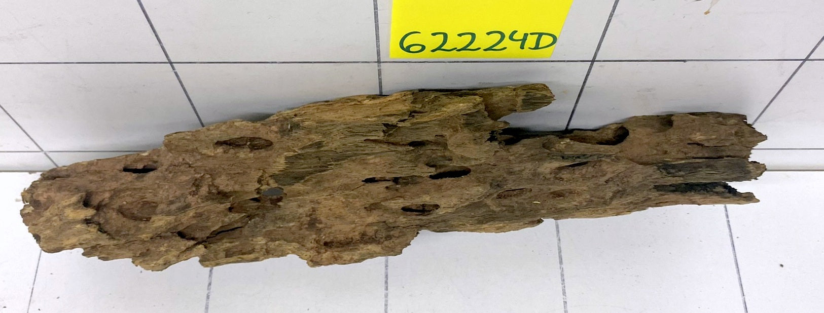 62224D - Drachenholz / Dragonwood