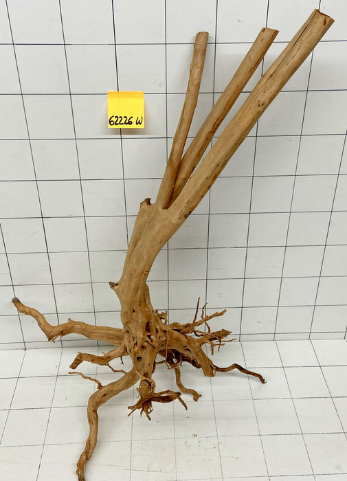 62226W Woodstump Wurzelholz