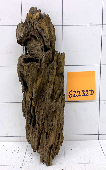 62232D - Drachenholz / Dragonwood