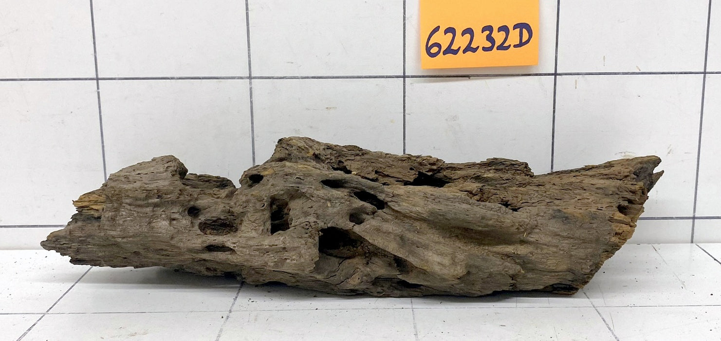 62232D - Drachenholz / Dragonwood