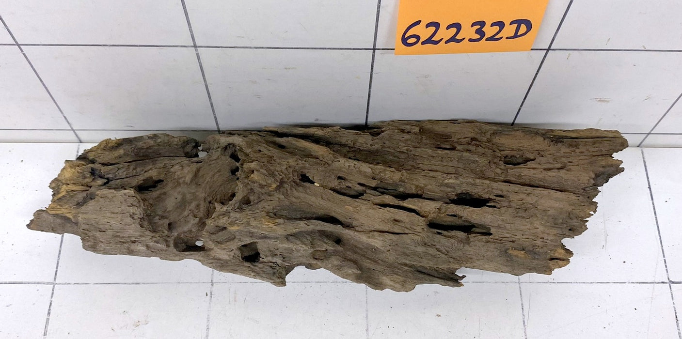 62232D - Drachenholz / Dragonwood