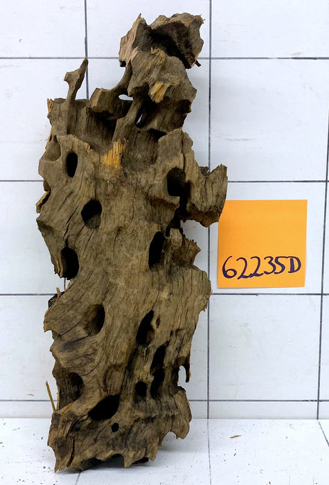 62235D - Drachenholz / Dragonwood