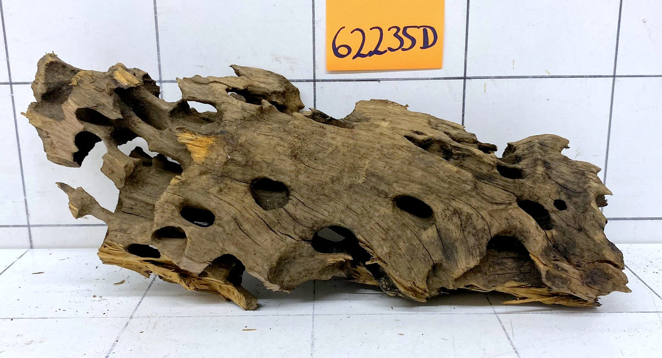 62235D - Drachenholz / Dragonwood