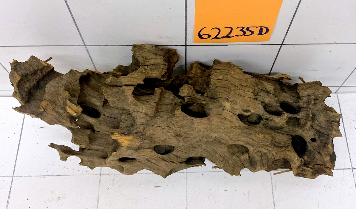 62235D - Drachenholz / Dragonwood