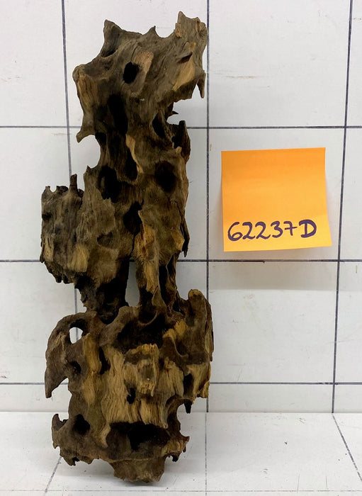 62237D - Drachenholz / Dragonwood