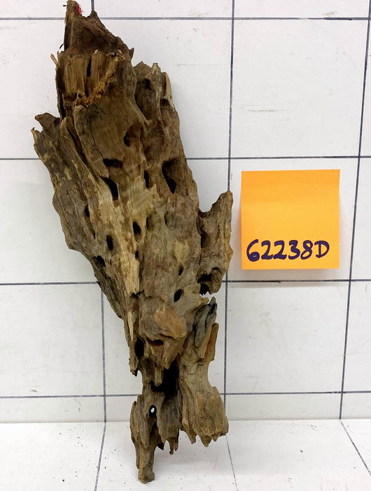 62238D - Drachenholz / Dragonwood