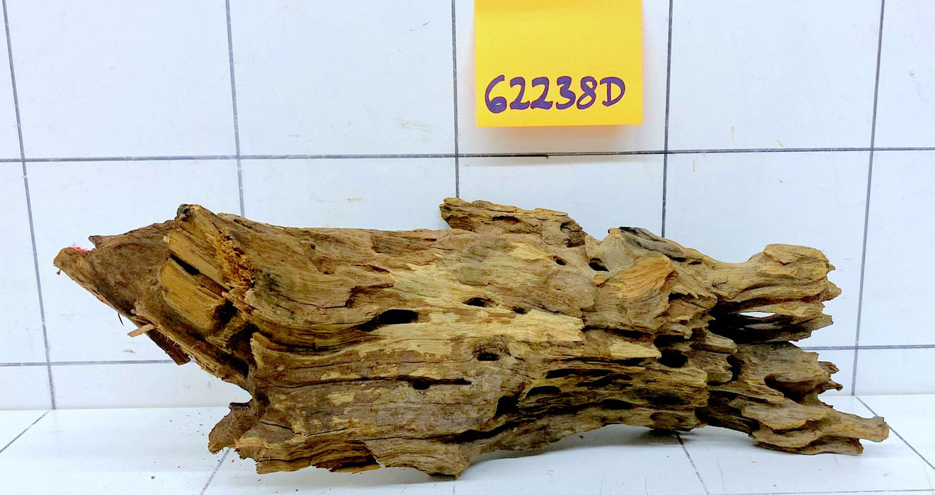 62238D - Drachenholz / Dragonwood