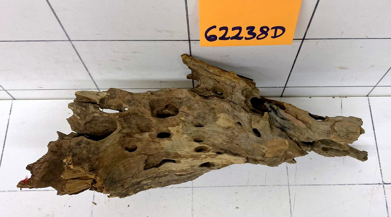 62238D - Drachenholz / Dragonwood