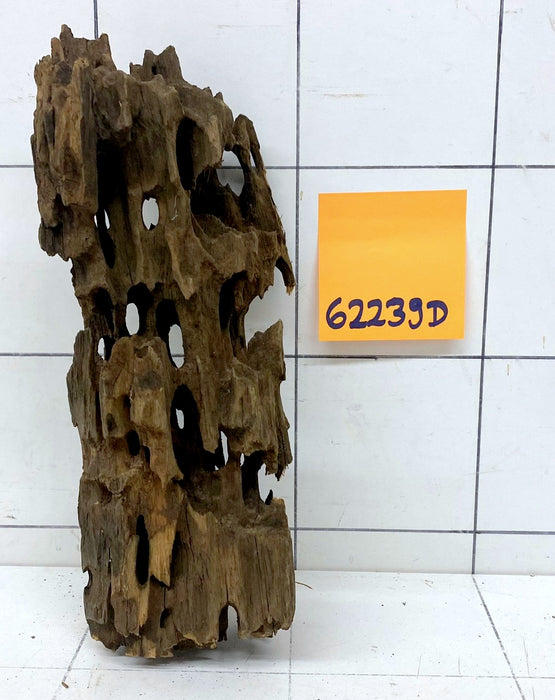 62239D - Drachenholz / Dragonwood