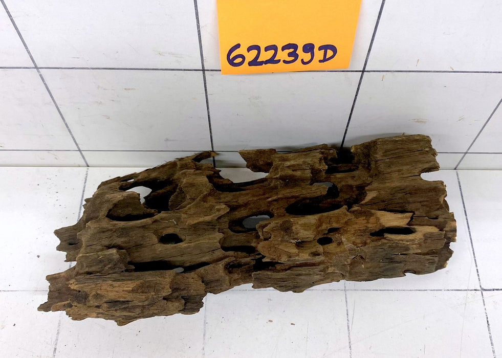 62239D - Drachenholz / Dragonwood