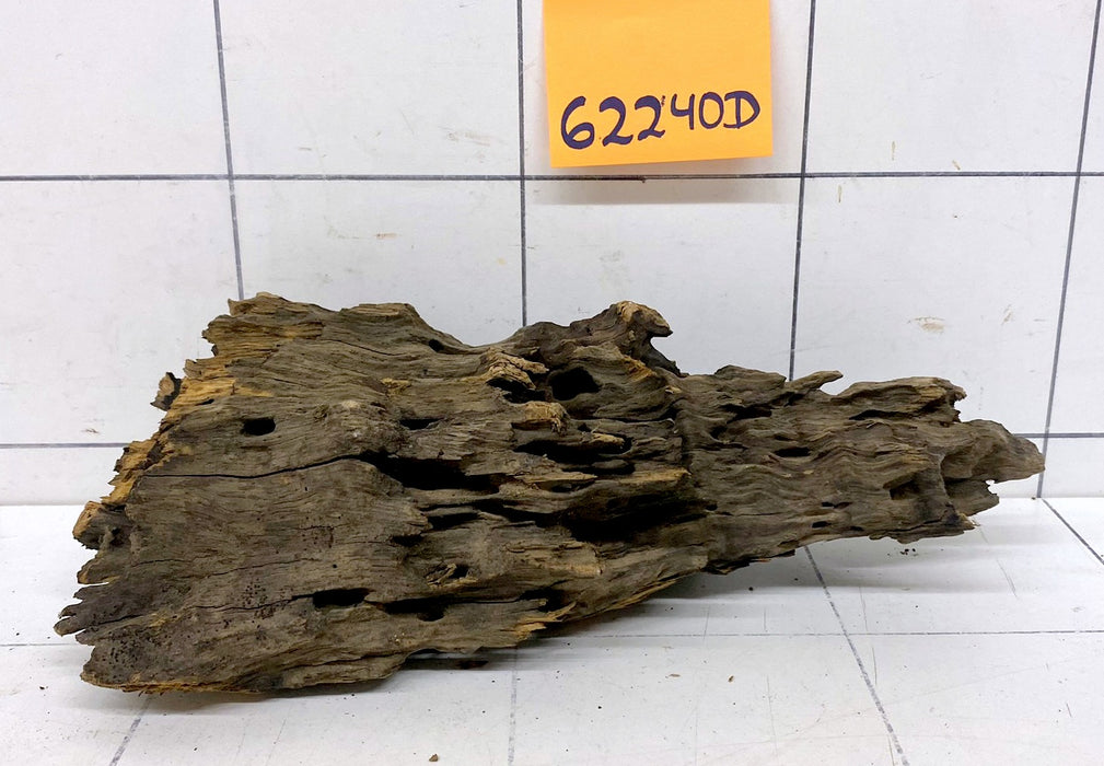 62240D - Drachenholz / Dragonwood