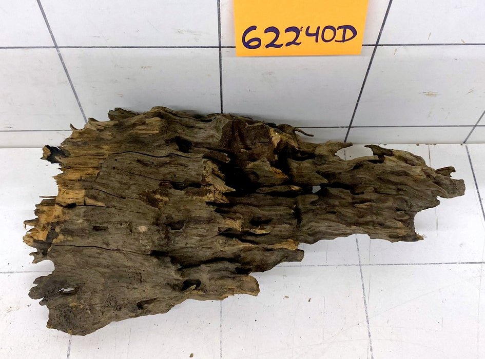62240D - Drachenholz / Dragonwood