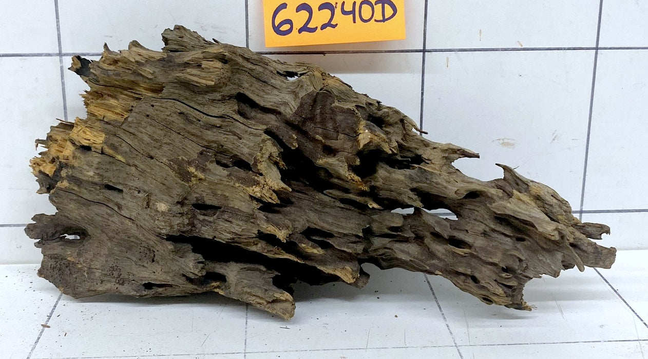 62240D - Drachenholz / Dragonwood