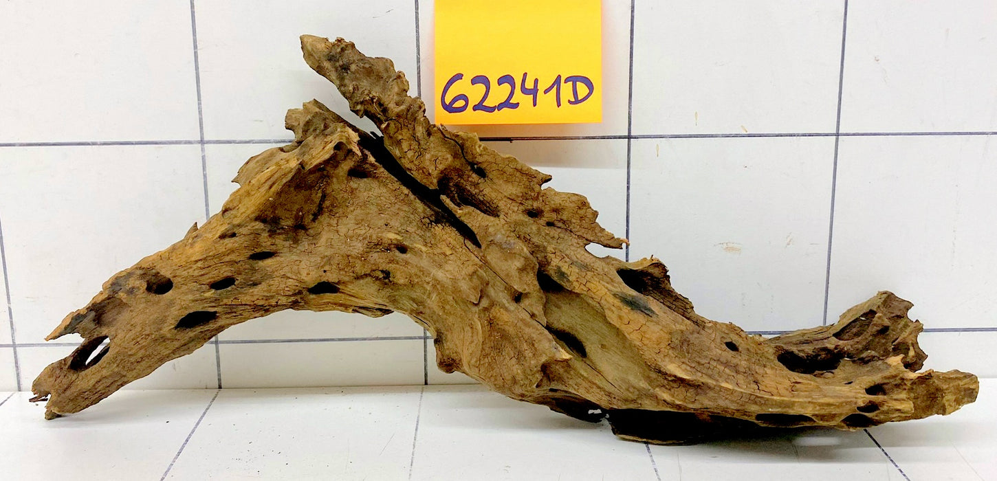 62241D - Drachenholz / Dragonwood