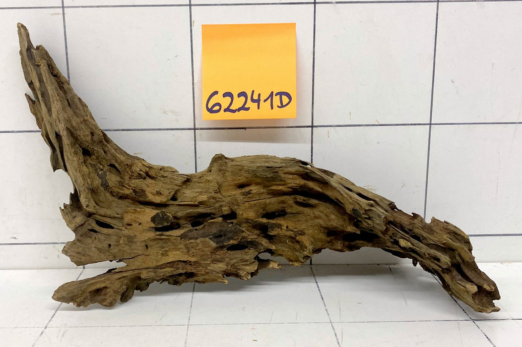 62241D - Drachenholz / Dragonwood