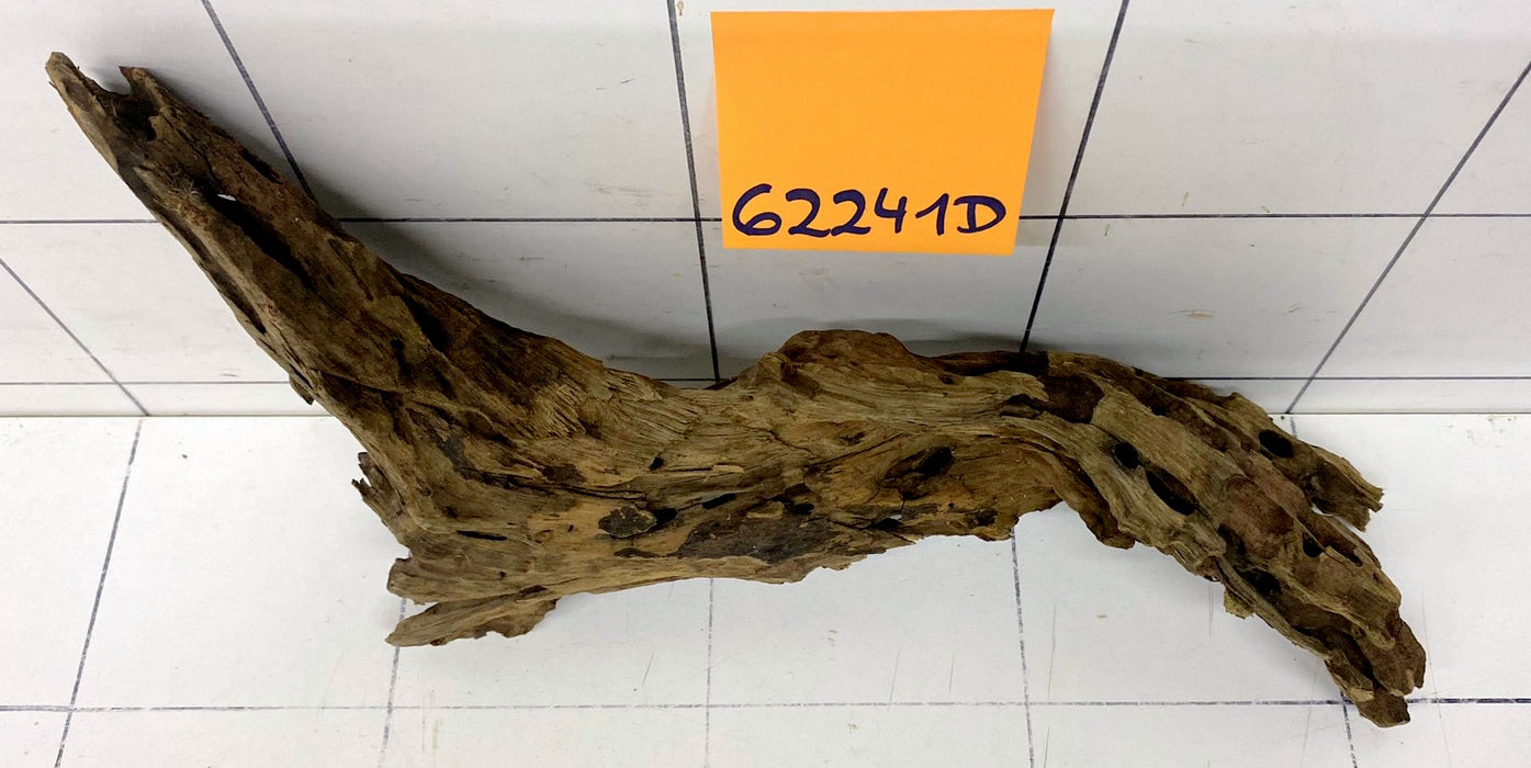 62241D - Drachenholz / Dragonwood