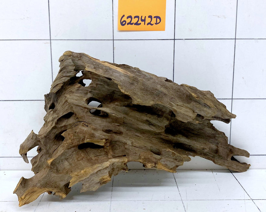 62242D - Drachenholz / Dragonwood