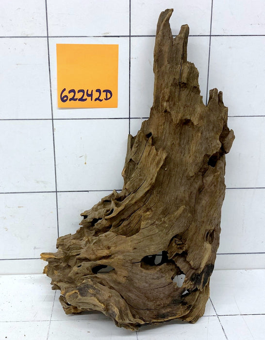62242D - Drachenholz / Dragonwood