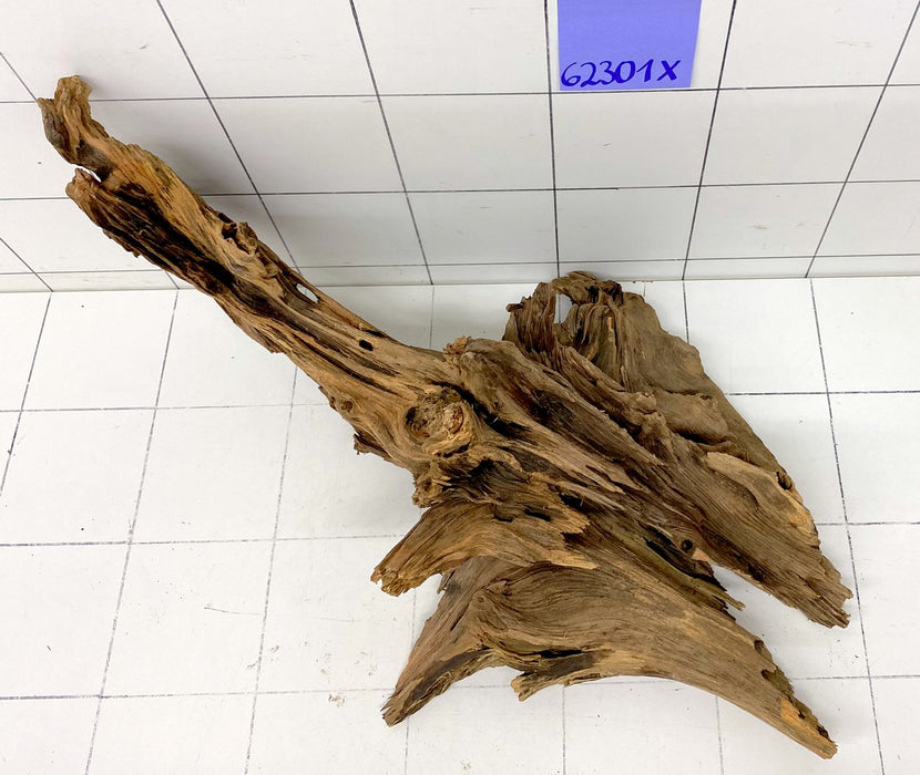 62301X - XINGU Wood Wurzelholz mit geschnittener Grundfläche