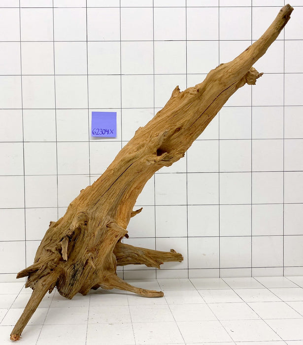 62304X - XINGU Wood Wurzelholz mit geschnittener Grundfläche