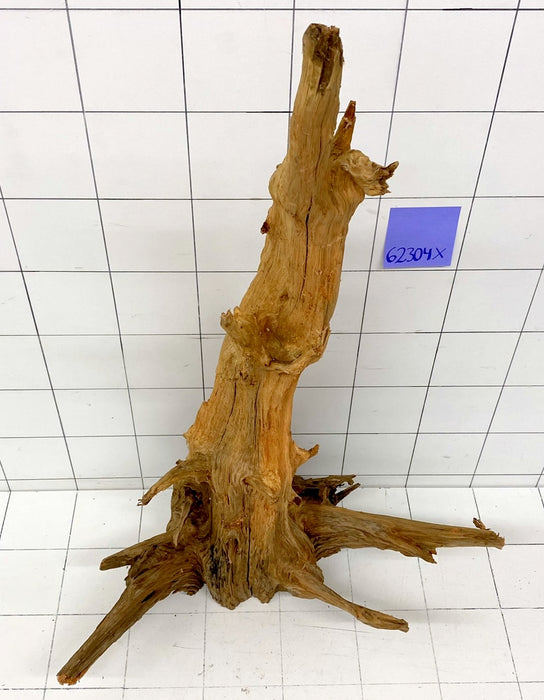 62304X - XINGU Wood Wurzelholz mit geschnittener Grundfläche
