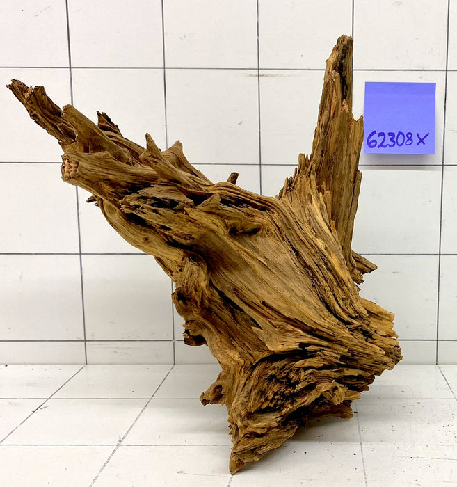 62308X - XINGU Wood Wurzelholz