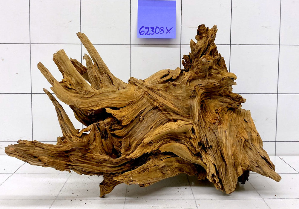 62308X - XINGU Wood Wurzelholz