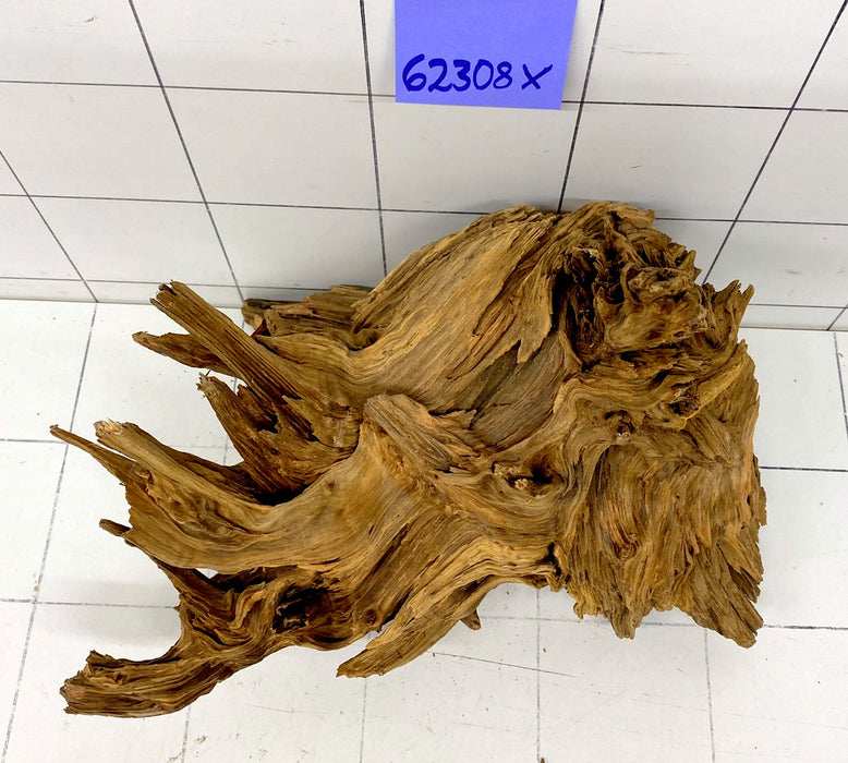 62308X - XINGU Wood Wurzelholz