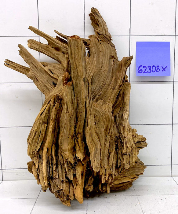 62308X - XINGU Wood Wurzelholz