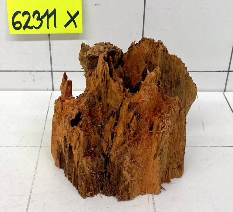 62311X - XINGU Wood Wurzelholz mit geschnittener Grundfläche