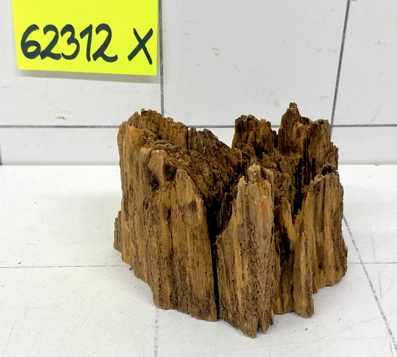 62312X - XINGU Wood Wurzelholz mit geschnittener Grundfläche