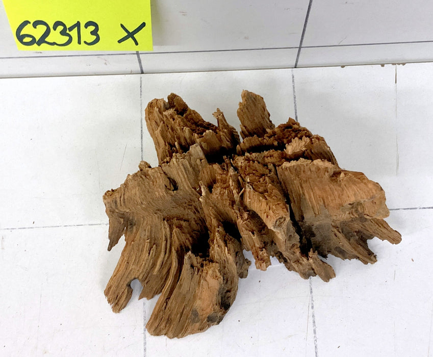 62313X - XINGU Wood Wurzelholz mit geschnittener Grundfläche