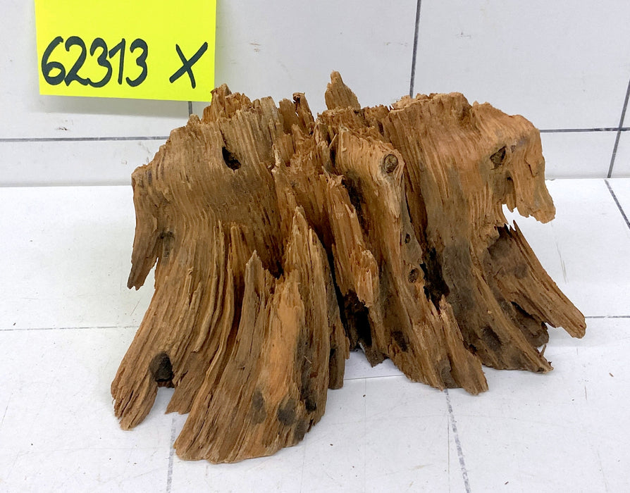 62313X - XINGU Wood Wurzelholz mit geschnittener Grundfläche
