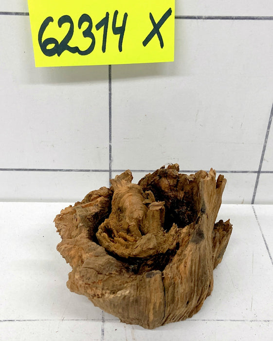 62314X - XINGU Wood Wurzelholz mit geschnittener Grundfläche