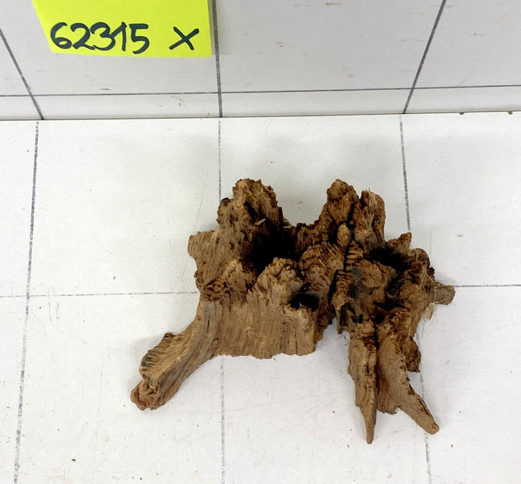 62315X - XINGU Wood Wurzelholz mit geschnittener Grundfläche