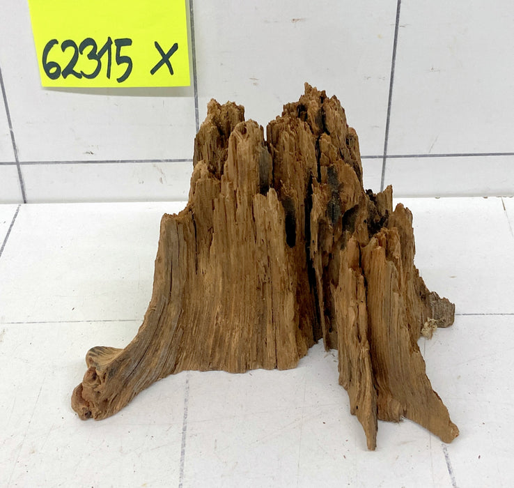 62315X - XINGU Wood Wurzelholz mit geschnittener Grundfläche