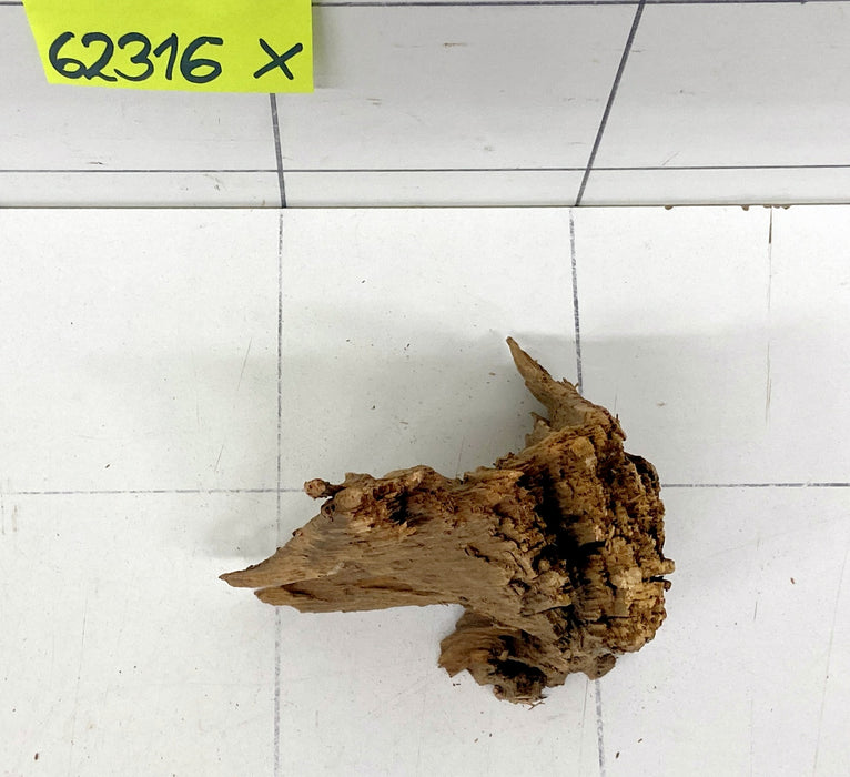 62316X - XINGU Wood Wurzelholz mit geschnittener Grundfläche