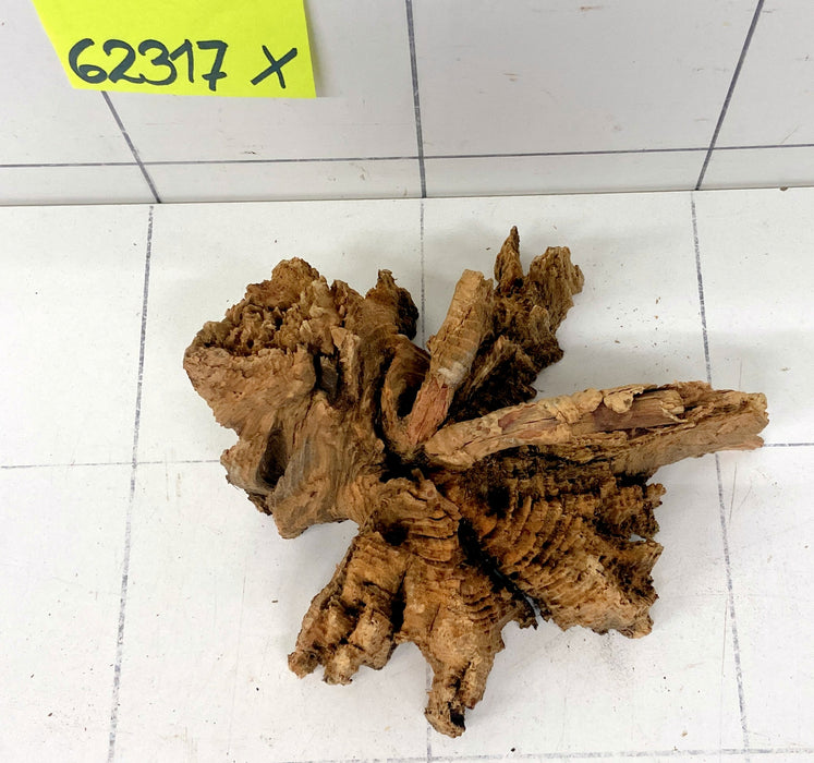 62317X - XINGU Wood Wurzelholz mit geschnittener Grundfläche