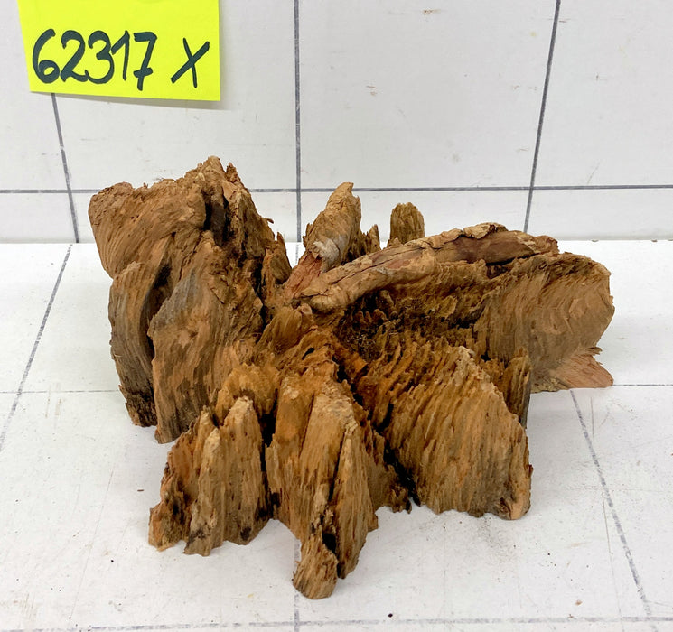 62317X - XINGU Wood Wurzelholz mit geschnittener Grundfläche