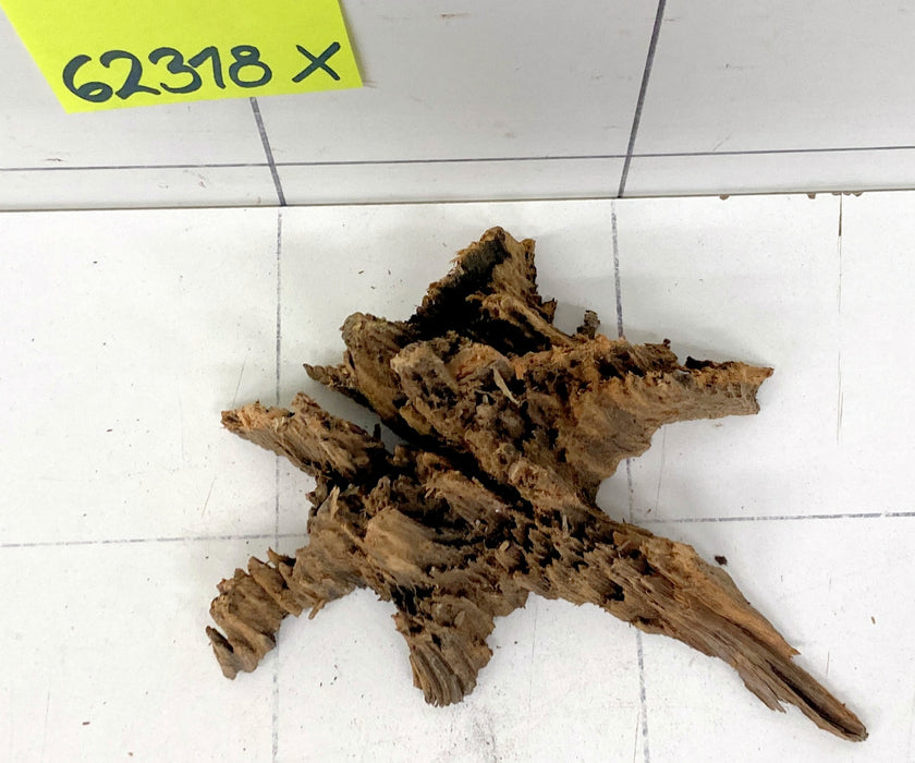 62318X - XINGU Wood Wurzelholz mit geschnittener Grundfläche