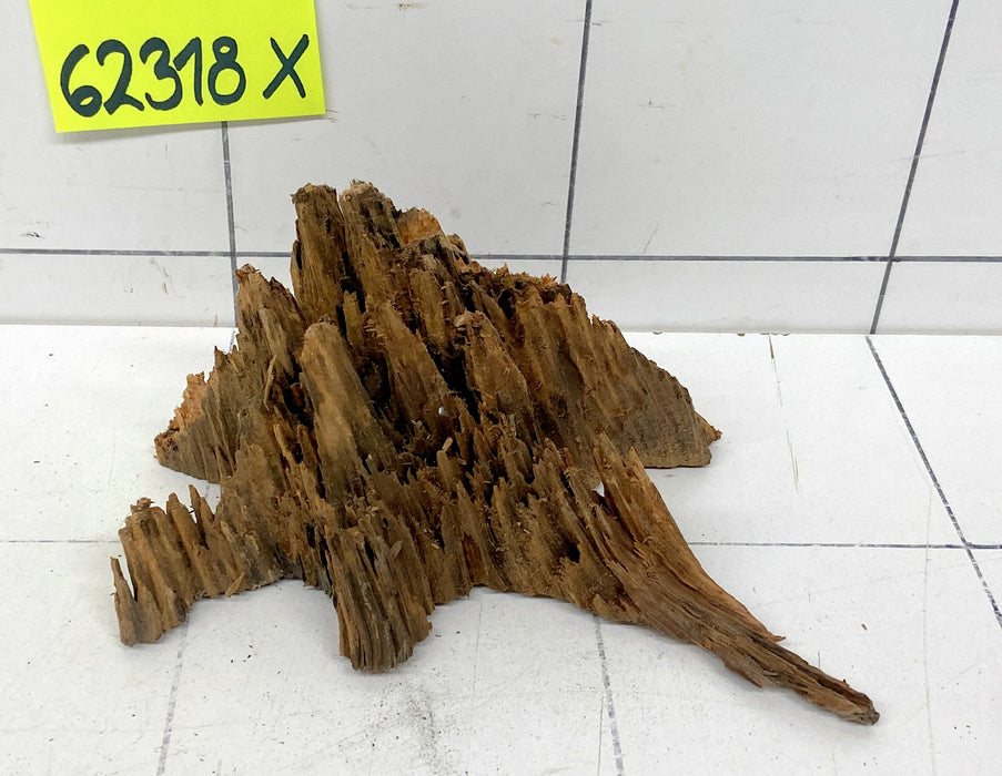 62318X - XINGU Wood Wurzelholz mit geschnittener Grundfläche