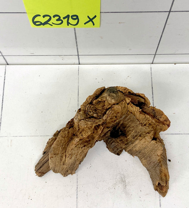 62319X - XINGU Wood Wurzelholz mit geschnittener Grundfläche